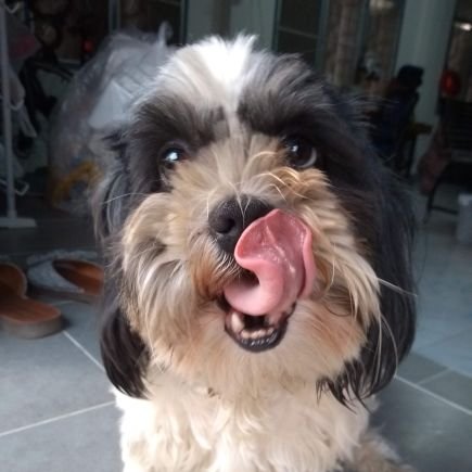 Nonprophet001's profile picture. Nonprophet