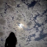 . (@am_m6666) Twitter profile photo