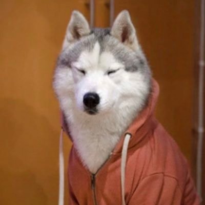 TopCurIs's profile picture. 24 and gaming | he/him