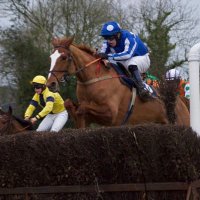 Ballydarragh Stables (@ballydarraghstb) 's Twitter Profile