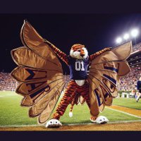 Misti Wells (@misti3046) 's Twitter Profile