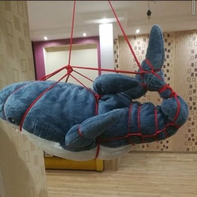 Webcammodel8's profile picture. Вебмодель из Бишкека