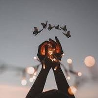 Radiant Traders (@radianttraders) 's Twitter Profile