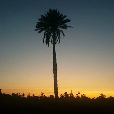 SA_D_12's profile picture. غِبْ .. ثلاثين عام ورِدْ مجدك بليله ليلتك عن سنين،، وعامهم عن ليالي 💚✊🏻..