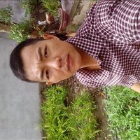 Duffy Alianna ❤️ Memecoin (@aliannaduffy) 's Twitter Profile