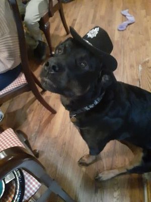 laurenthen_lh's profile picture. Adult human female.
not nice and don't care.
specifically here one reason.