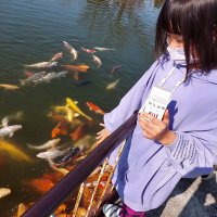 ローゼンYUI (@poruteri64) 's Twitter Profile Photo ローゼンYUI (@poruteri64) 's Twitter Profile Photo