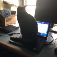 Dmarguriet (@dmarguriet) 's Twitter Profile Photo