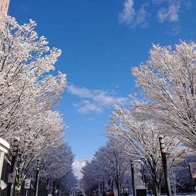 富山市在住
３人の息子も成人して大人時間を充実する事に夢中な今日この頃