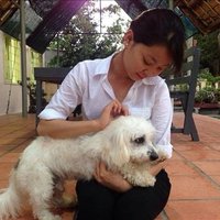 Raziya Hannum ❤️ Memecoin (@hannumraziya) 's Twitter Profile
