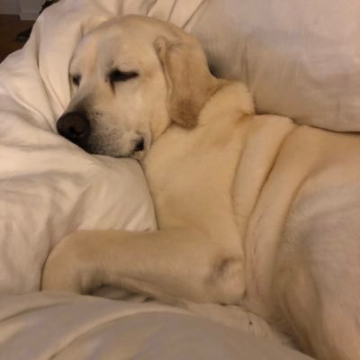 HarneyPam's profile picture. 