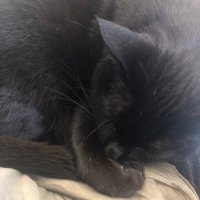 Perri Campbell (@perri_campbell) 's Twitter Profile