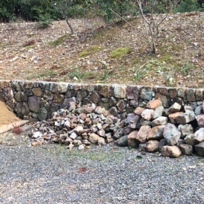 meimeimeeii's profile picture. 2021年2月左肺上葉区域切除(大細胞神経内分泌がんSt1a2)4月抗がん剤補助治療(シスプラチンエトポシド)1クールのみ。2021年12月腫瘍マーカー上昇。2022年1月PETCT → リンパ節に再発転移。ⅢB期。2/8~カルボプラチン＋エトポシド、テセントリク。副作用で下垂体性副腎皮質機能低下症甲状腺ホルモン低下症