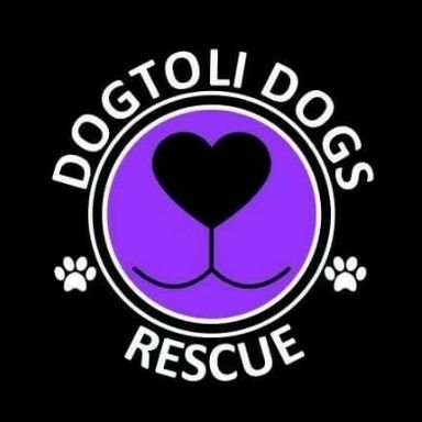 501c3 Non-Profit organization @DogtoliDogsRescue located in Broward County Fl. Saving lives of neglected/abused dogs in need of FOSTER & FOREVER homes.