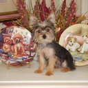 Barbara Spearman - @barbaraspearman - Twitter