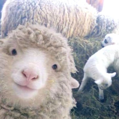 hitsuji_yukio3's profile picture. 好きなこと、思ったことを好きなように呟くアカ🍎❤️🍓🍒🍉です❗