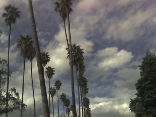I love LA. Fight for #justice.
#filmnoir 
Please follow on Bsky same handle. Here now only to check trending news and #Dodgers trades. Mas and PO same handle.