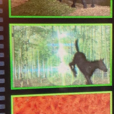 rrrIFACE0MqttQs's profile picture. お試し用