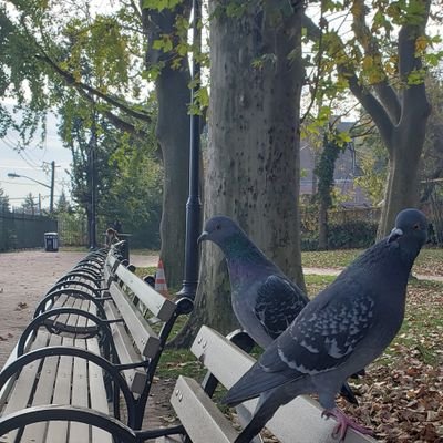 jrc0826's profile picture. 