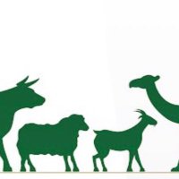 أغنام (@sheepbts) 's Twitter Profile