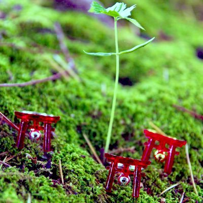 鳥居リングの中の人⛩でお人形作る人、写真撮ったりデザインしたりします🍓webデザイナー※ツイートは雑談・RT多めです🐼委託店舗→🌙VVオンラインショップ にて委託中💌コンタクト⛩mahou13girudo@gmail.com⛩