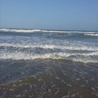 Walworth Badley ❤️ Memecoin (@badleywalworth) 's Twitter Profile