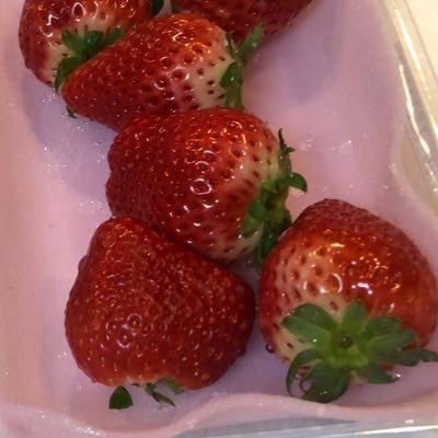 kaamikaawa's profile picture. 25↑夢/op/cn/hp/kmt/juju/gntm/hrak/SD/rkrn