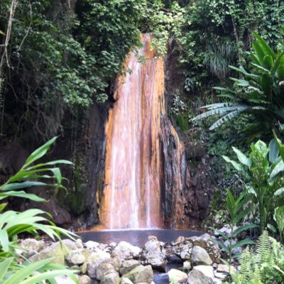 Diamond Botanical Gardens, Saint Lucia is home to Diamond waterfall, therapeutic mineral baths, tropical plants and bird sanctuary on historic Soufriere Estate.