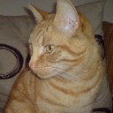 Kyle Llewellyn - @KyleLlewellyn - Twitter