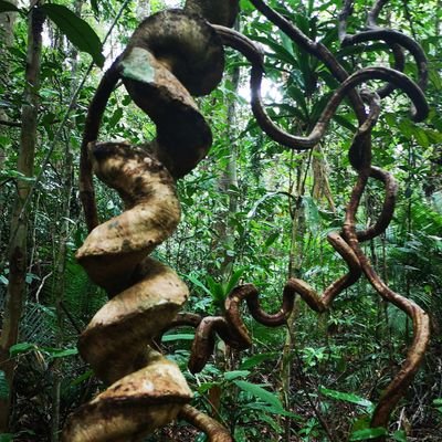 craziwink's profile picture. Biodiversity