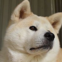 hhyzyz_ph59 (@hph59) 's Twitter Profile