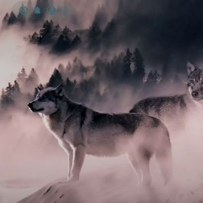 wrldtrdr's profile picture. Musical Atheist