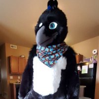 CaustAD (@adcaust) 's Twitter Profile