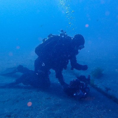 フリーのPHPプログラマー、ECが得意です。世界のウミウシを作成して運営5年目。収益化はほど遠い。 https://t.co/pnrAJCr2Oo
