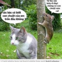 Keilantra Leason ❤️ Memecoin (@keilantraleason) 's Twitter Profile