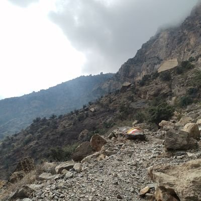 Mohamme64393793's profile picture. Farsi8118