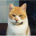 元野良猫チャチャとRme 🐈✨ (@r_me_happylife) Twitter profile photo 元野良猫チャチャとRme 🐈✨ (@r_me_happylife) Twitter profile photo