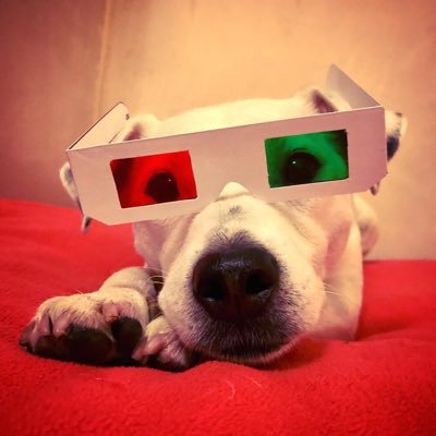 CreativeRhs's profile picture. Koray Gurur head of Creative Media at Royal Hospital School. Tweeting about everything media related. My Tweets are my own views