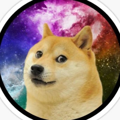 #DOGE to the stars 🐕🚀⭐️ | Not a financial advisor & tweets are not financial advice!