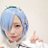 inp_ayapan