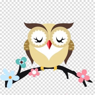 TreasuresOwl Profile Picture