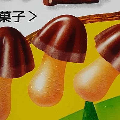 きのこ派