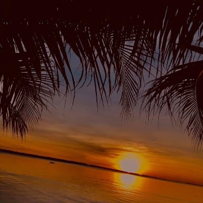 Young80811's profile picture. 