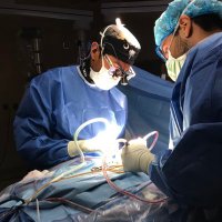 MUSC Neurosurgery (@holycitynsgy) 's Twitter Profile