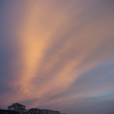 theenkboutit's profile picture. 