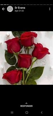 WisianeR's profile picture. Evangelique