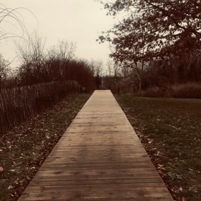 girl_inthemood's profile picture. Front End Developer - ℙ𝕒𝕣𝕚𝕤 #PSG ✌️ 🇫🇷🇲🇱