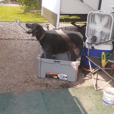 kadetaylor97's profile picture. 