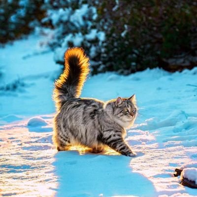 power_radiosky's profile picture. 