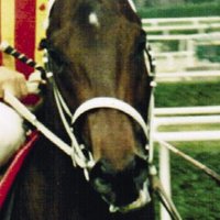 johny guitar (@johnyguitar16) 's Twitter Profile